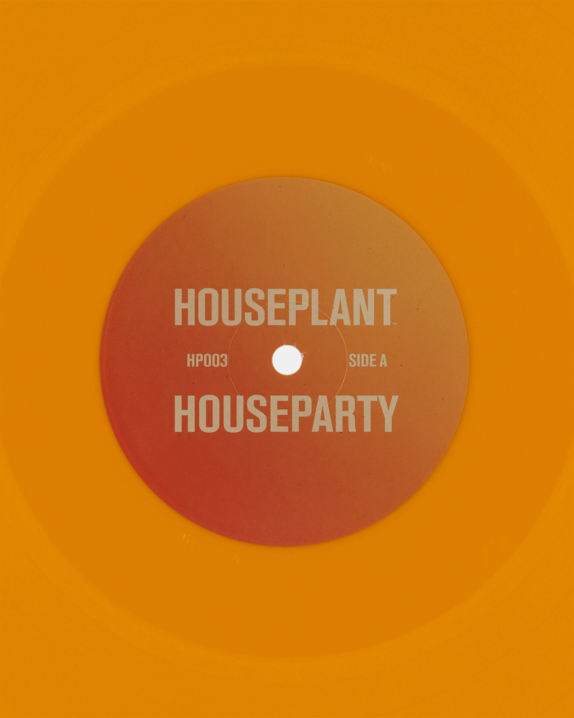 Double LP Party Vinyl