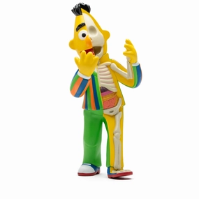 Mighty Jaxx XXRay Plus Sesame Street - Bert